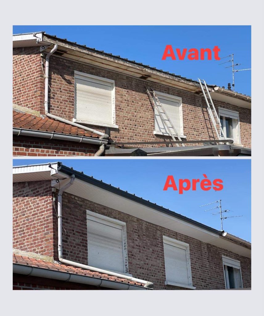 remplacement de cache moineaux